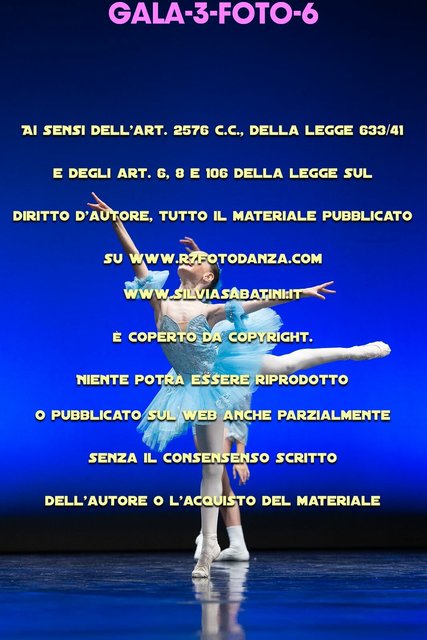 GALA-3-FOTO-6.jpg
