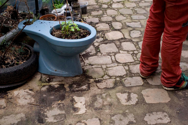 Guerilla gardening