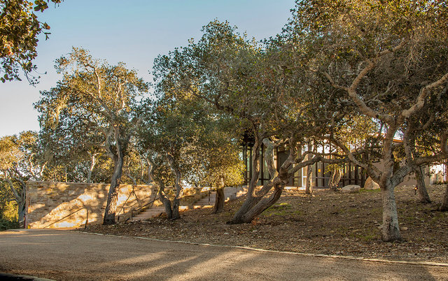 01_P_IMG_8632 EDITED.jpg