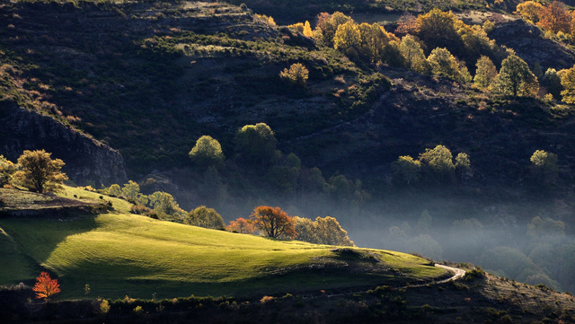 cevennes2010_0471.JPG