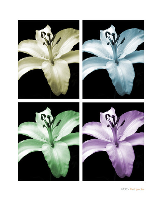 flowersA.jpg