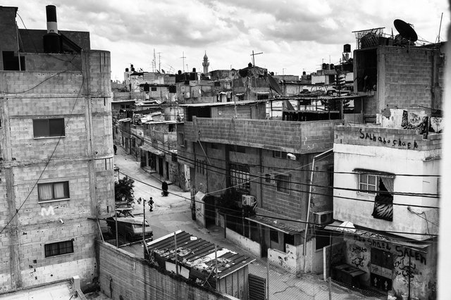 L1004856.jpg