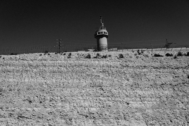 L1009947.jpg