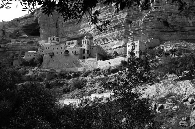 L1011936.jpg