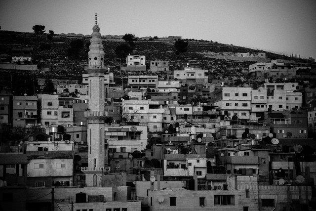 DSC_2310.jpg