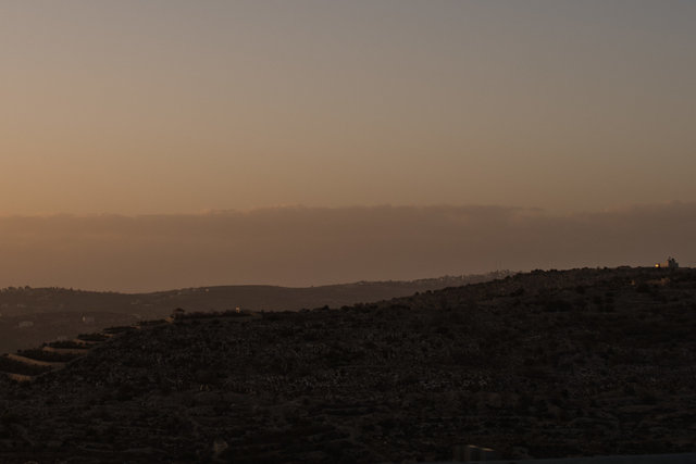 DSC_2413.jpg