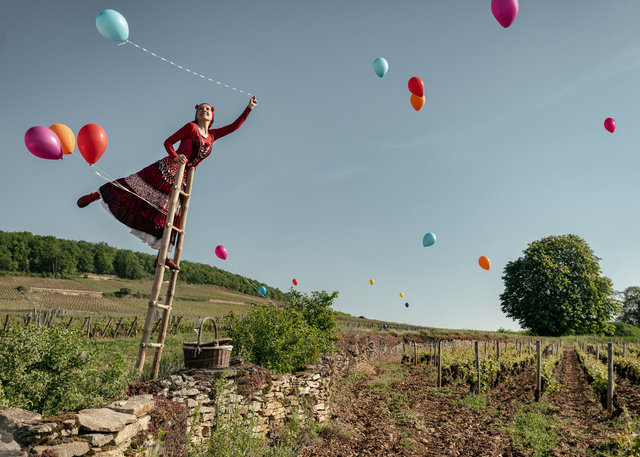 La bourgogne en fête