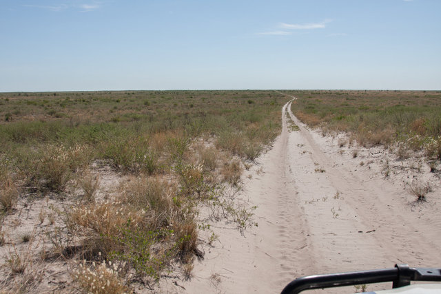 Makgadikgadi National Park