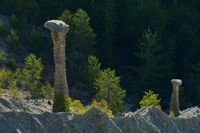 Alpes de Hautes -Provence