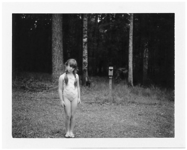 Girl & the Birdhouse, 2014