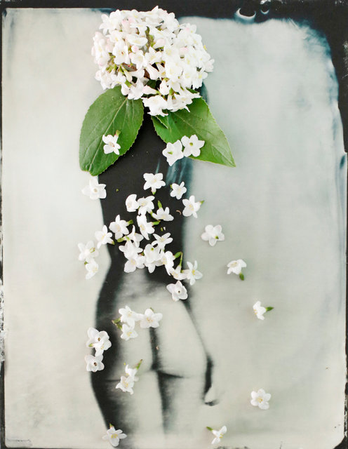 FLOWERS_1_004.JPG