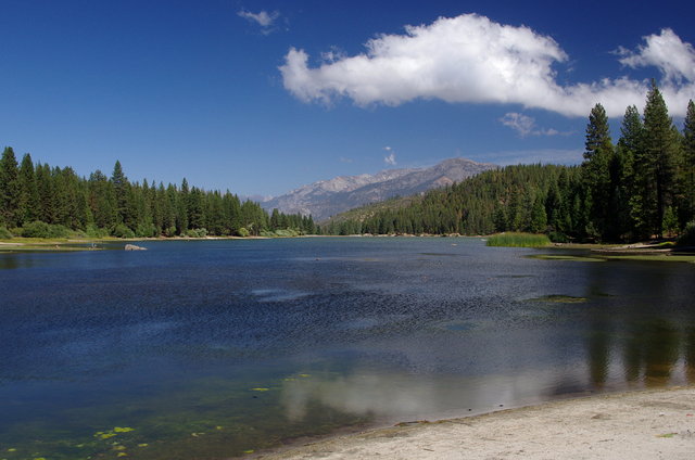 Hume Lake Sequoia National Forest (4) VB.JPG