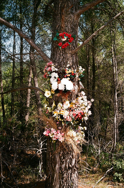 birth of a tree, 2011.jpg