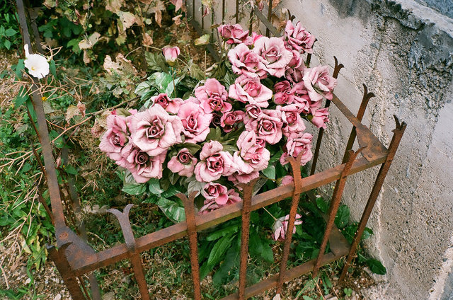 roses, impression céramique, 2009.jpg