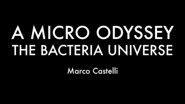 A Micro Odyssey_title.jpg