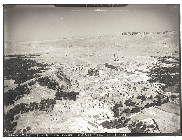 Palmyra-7.jpg