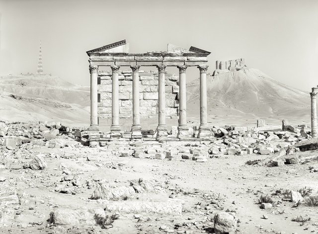 Palmyra-64.jpg