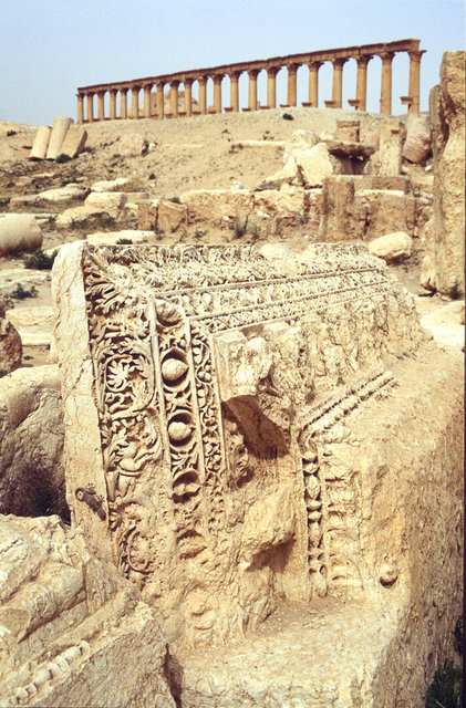 Palmyra-70.jpg