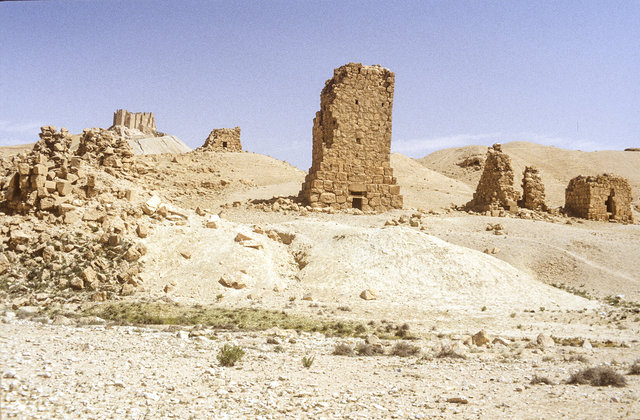 Palmyra-82.jpg