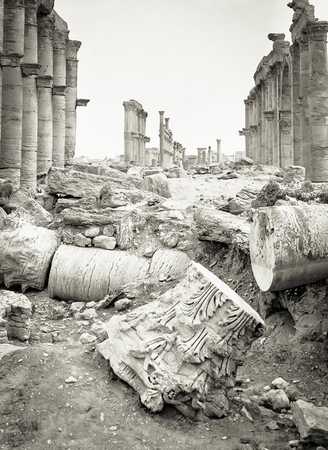 Palmyra-67.jpg