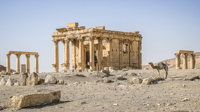 Palmyra-58.jpg