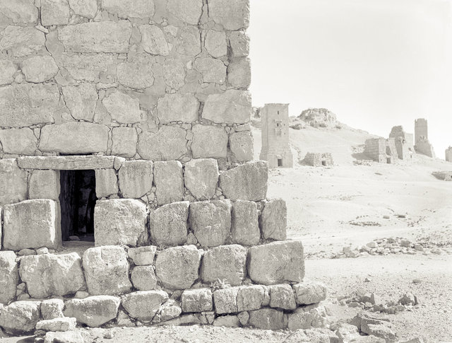 Palmyra-81.jpg