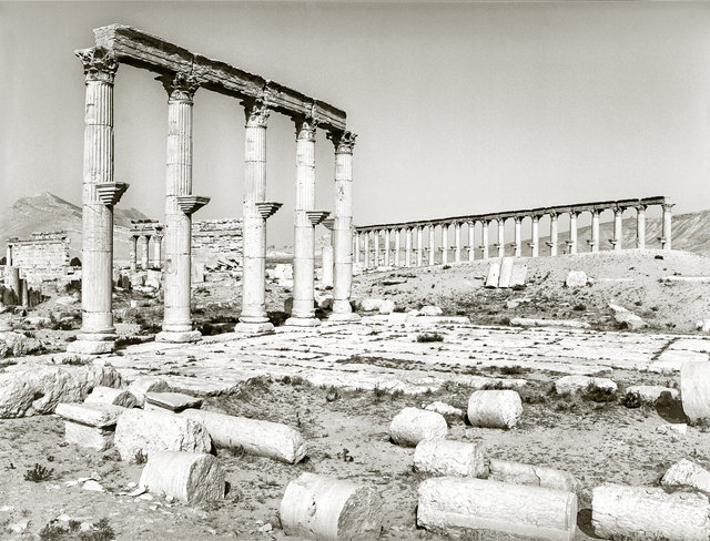 Palmyra-69.jpg