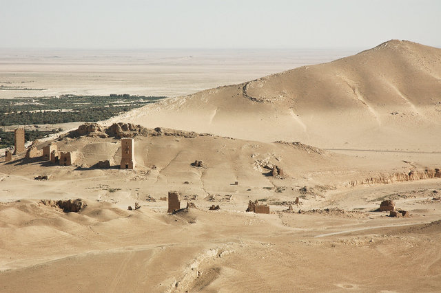 Palmyra-77.jpg