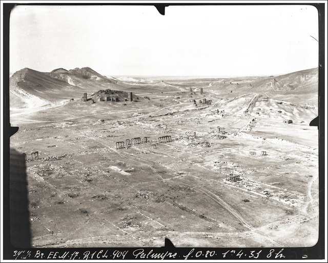 Palmyra-61.jpg