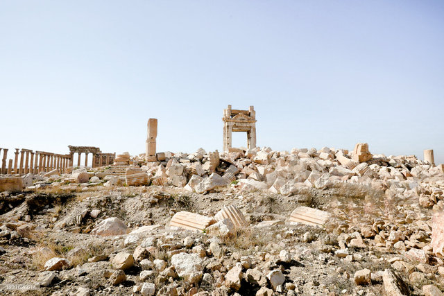 Palmyra-36.jpg