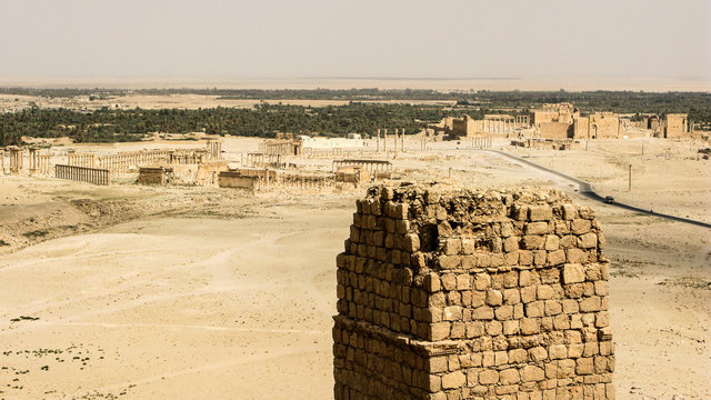 Palmyra-76.jpg