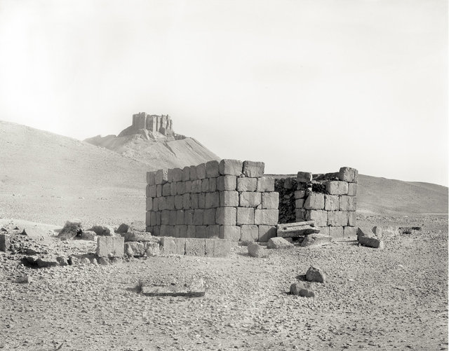 Palmyra-79.jpg