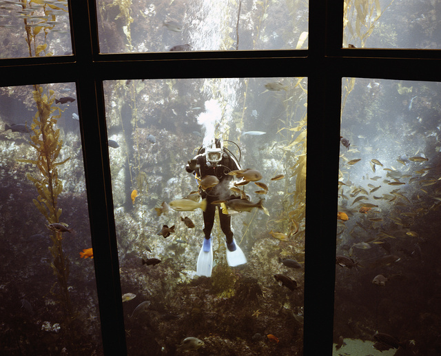 Monterrey aquarium