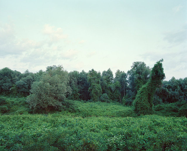 N44 12.462  E22 38.550  Serbia / Bulgaria