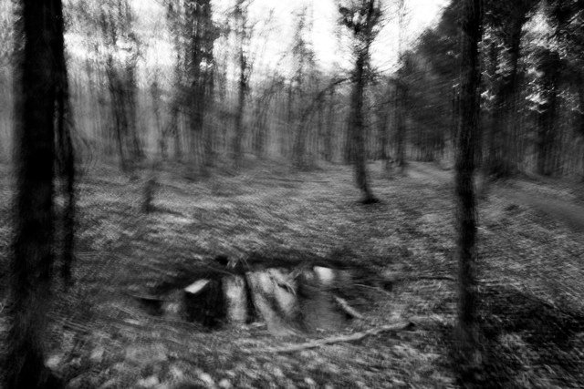 VERDUN-028.jpg