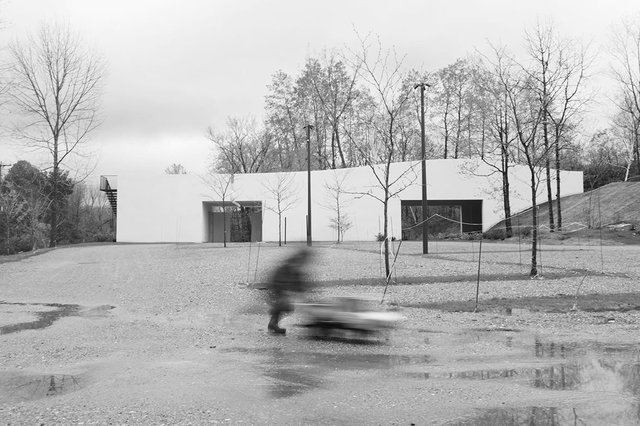 Turn Park Rain.jpg