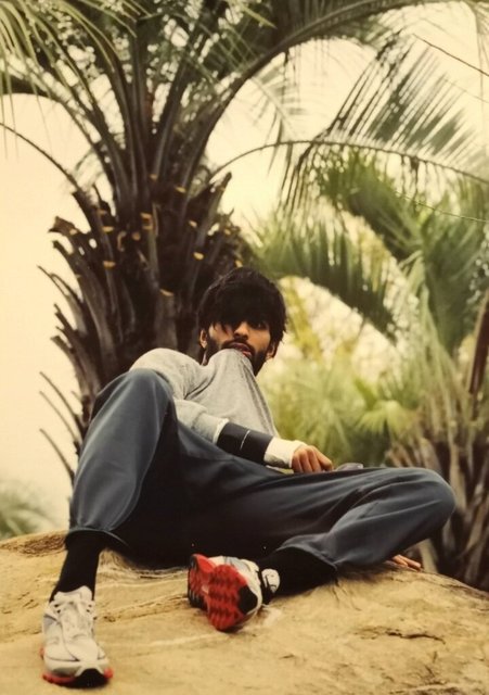 RAFS TESH - MODEL