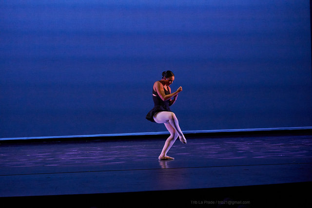 _SNY0751.jpg
