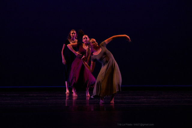 _SNY0240.jpg