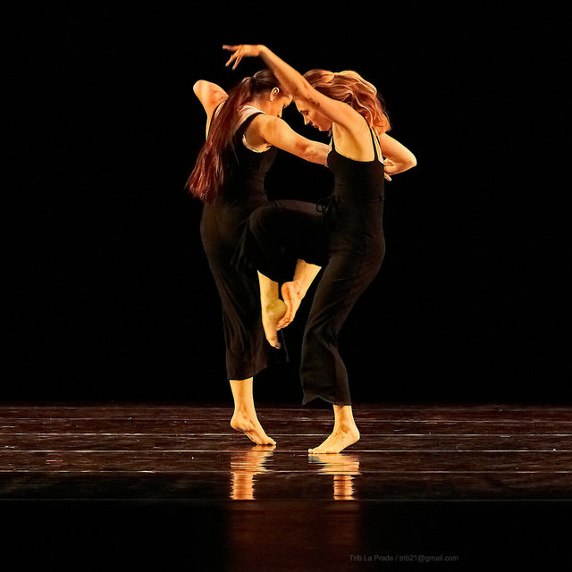 _SNY0349.jpg