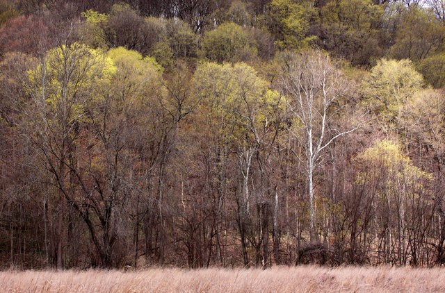 Spring, South-Central, Ohio