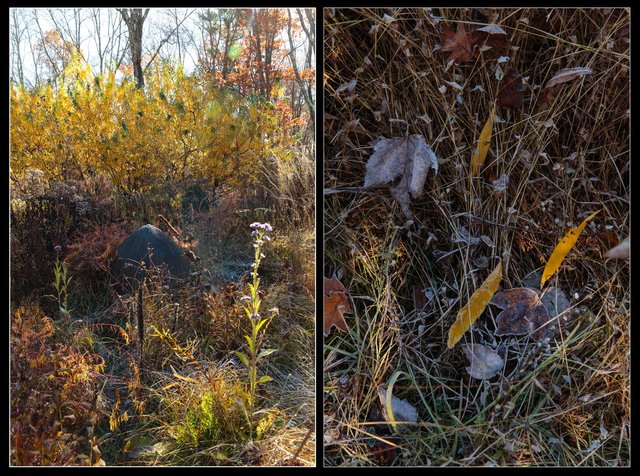 Screen Shot 2017-01-20 at 2.13.57 AM.jpg