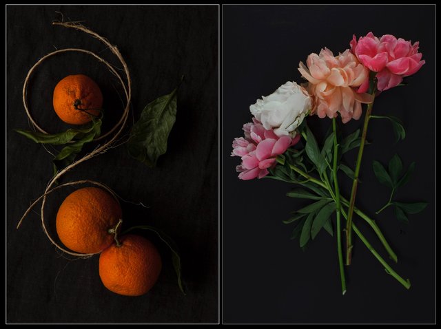 Screen Shot 2017-01-18 at 10.25.55 PM.jpg