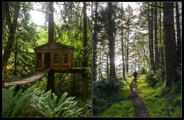 Screen Shot 2017-01-19 at 1.22.21 AM.jpg