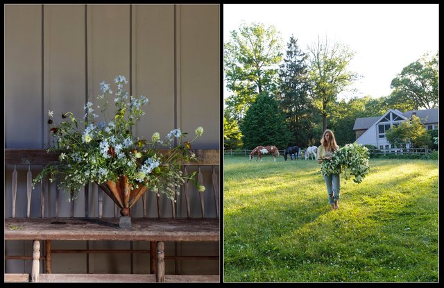 Screen Shot 2017-01-20 at 2.05.16 AM.jpg