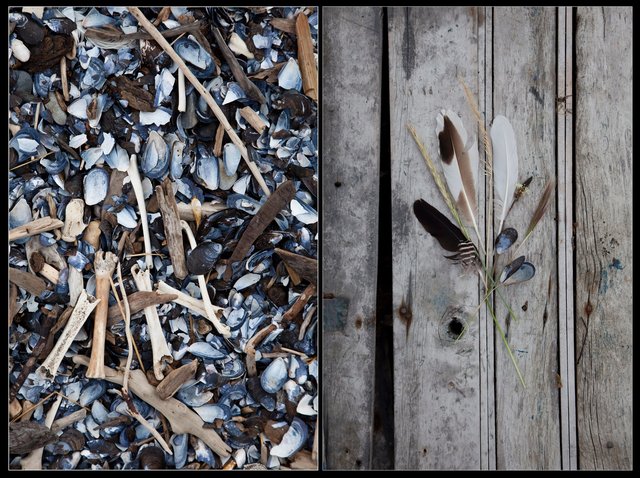 Screen Shot 2017-01-18 at 10.28.51 PM.jpg