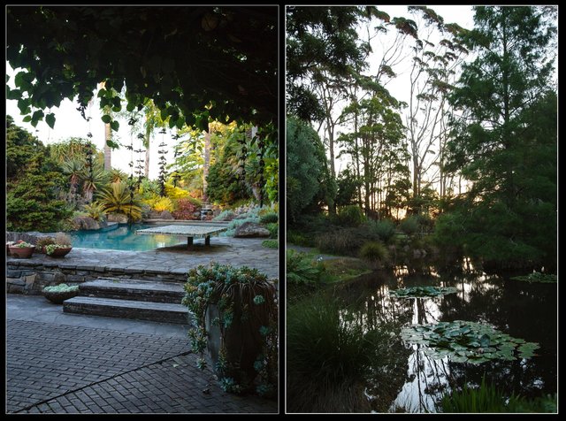 Screen Shot 2017-01-20 at 3.20.26 AM.jpg