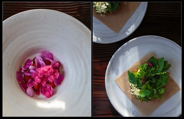 Screen Shot 2017-01-18 at 8.52.12 PM.jpg