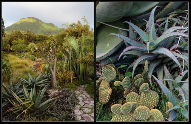 Screen Shot 2017-01-20 at 2.09.21 AM.jpg