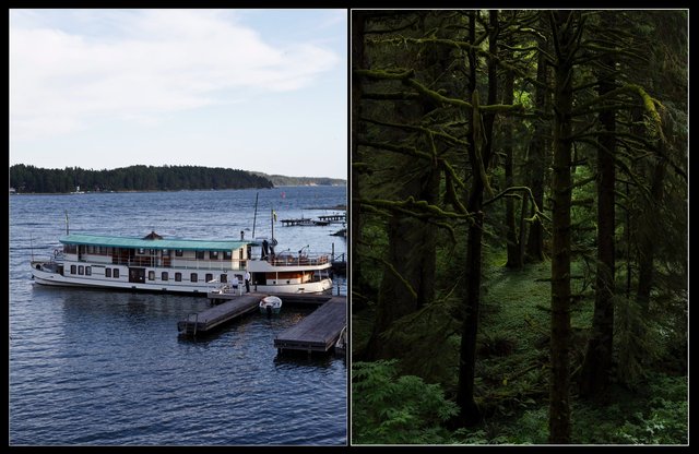 Screen Shot 2017-01-22 at 9.37.17 PM.jpg